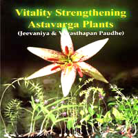 Vitality Strengthening Astavarga Plants (Jeevaniya & Vayasthapan paudhe) by Swami Ramdev Ji